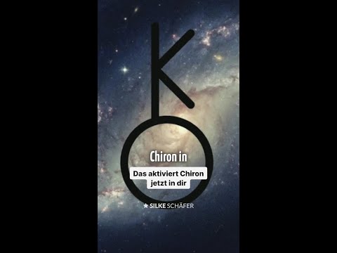 Was möchtest du wirklich tun? | Silke Schäfer