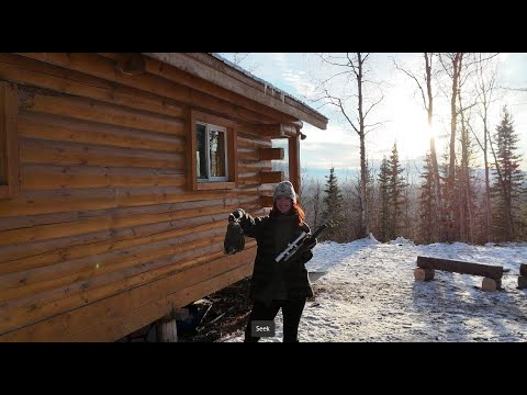 Thanksgiving on our Alaskan Homestead | Wolves & Chasing Caribou