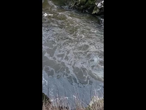 'Don't drink tap water' after oil spills into river