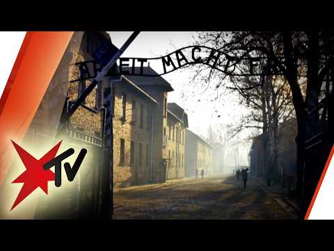 Holocaust-Überlebende Eva Erben: „Drei Wochen Auschwitz reichten für ein ganzes Leben" | stern TV