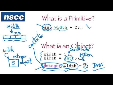 Difference between Primitive and Object Data Types in Java