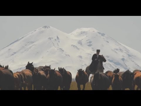 «Шагди.Опережающий полёт стрелы». Фильм Аскарбия Нагаплева. Кабардинская порода лошадей