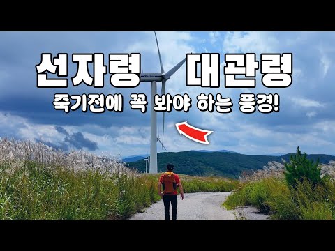 #Daegwallyeong#SkyRanch#Gangwondo#SheepRanch#Pyeongchang#SeonjaryeongHiking#Korea