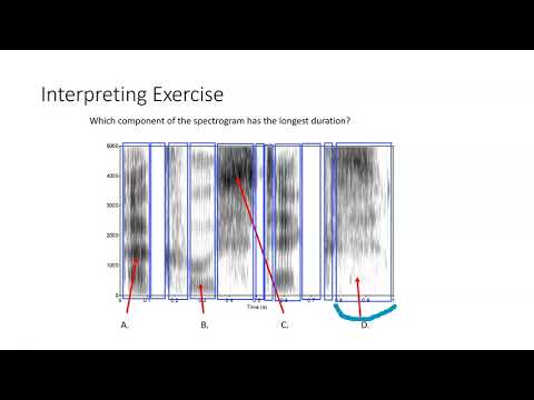 CSD3084 Spectrogram Basics