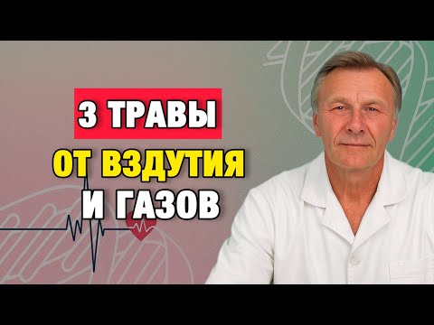 Живот сдувается сам: 3 травы, которые реально убирают газы после 50