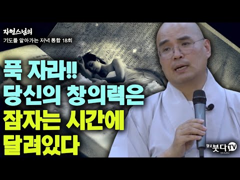 푹 자라!! 당신의 창의력은 잠자는 시간에 달려있다 | 자현스님의 기도를 알아가는 저녁 통합본 18회 웃음 재미 이야기 전설 설화 문화 역사 숙면 시간 불교 잠 꿈
