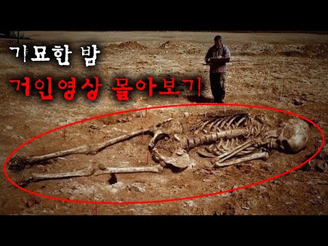 세계 곳곳에서 발견된 거인의 흔적들 | 8월의 몰아보기