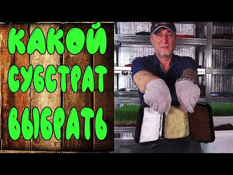 Кокосовый субстрат для растений. Как вырастить микрозелень. Ситиферма