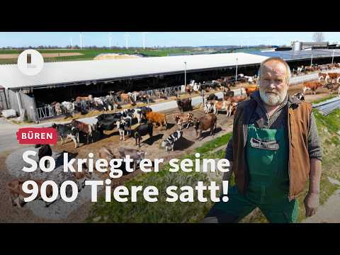 900 Tiere & 350 Hektar: Wie ein Familienbetrieb das wuppt! | WDR Lokalzeit LandSchafft