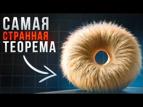Как причесать ежа – самая необычная теорема // Vital Math