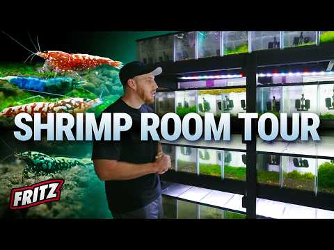 HE HAS 500 AQUARIUMS FULL OF WHAT?! | The Garden of Eder