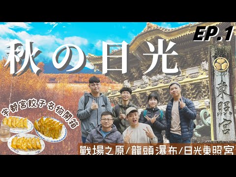 【關東新潟追楓🍁EP.1】日光、宇都宮 || 穿過迷霧～坐享戰場之原、龍頭瀑布奧日光紅葉絕景｜金碧輝煌！必訪世界遺產日光東照宮｜宇都宮名物～一次吃遍12種餃子😋 || 豪豪遊日本✈️