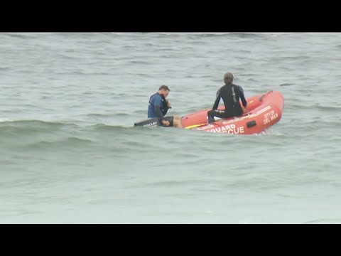 Researchers collect DNA to learn more about shark that bit Del Mar swimmer