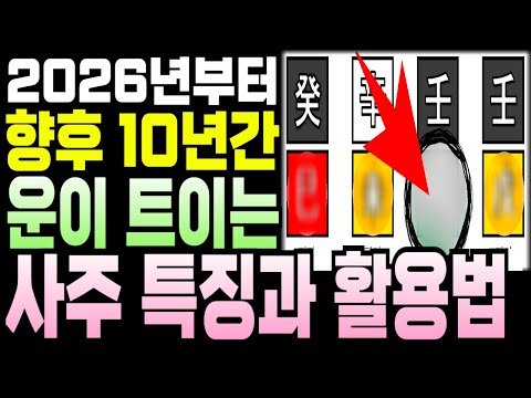 2026년부터 향후 10년간 운이 트이는 사주 특징ㅣ지지편ㅣ사주팔자 명리학