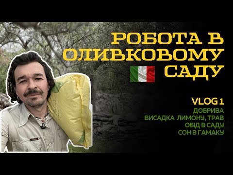Робота в оливковому саду. Добрива, посадив лимон, сон в гамаку, обід в саду