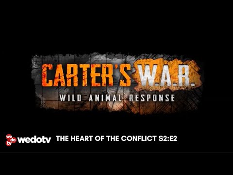 The Heart of the Conflict | Carter's W.A.R. S2/E2 | wedotv