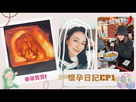 【江若琳 Elanne】懷孕日記EP1 #地獄之初孕期 #老來得子 #魯莽生豬 #孕期頭3個月注意事項 #情緒大爆發 #最愛車仔麵