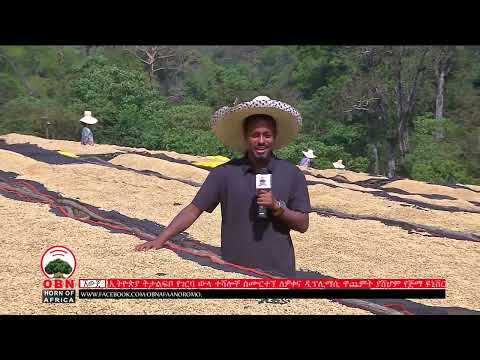 የዋና ጉራጊና ኧዉጀ  OBN   ታህሳስ  09፣ 2018