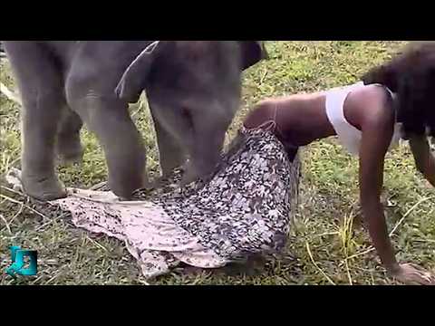 You Have to See This! Animal Incidents That Really Blew Up the Internet!