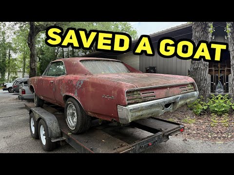 We Found a REAL 1967 GTO and It’s Surprisingly Nice…