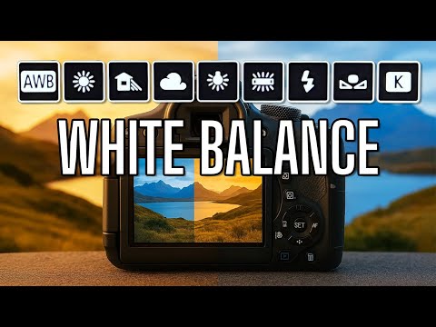 Which White Balance Setting Should You Actually Use?