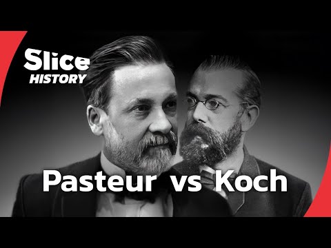 Pasteur and Koch: The Final Years of a Scientific Rivalry I SLICE HISTORY