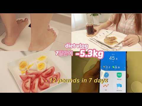 *eng[일주일다이어트]✨운동없이 식단으로 7일-5.3kg 🔥| 49kg를 향하여 | 단기다이어트브이로그(diet vlog)