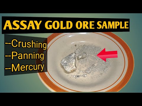 Assay Gold Ore Sample From A Friend | Poor miners