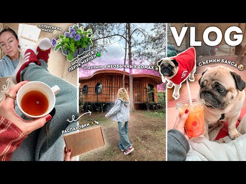 VLOG: Моя Повседневная Жизнь✨🐇 Отдых в Домах, Аллегрия на Маску😰 Шоппинг в Леруа Мерлен, Съемки