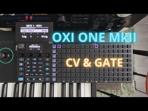 OXI ONE MkII CV & Gate Basics