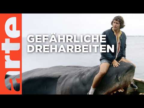 "Der weiße Hai" - Kultfilm mit Biss | Doku HD | ARTE