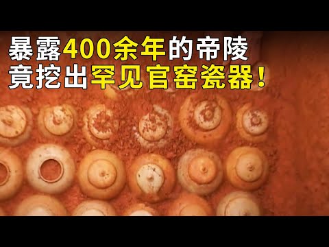 因雷击暴露的帝陵 遭遇哄抢多次被盗扰 400年后却意外发现大批珍贵文物！《奥秘2020》（44）丨 中华国宝