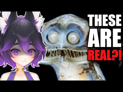 Learning the TRUTH about nature! - Casual Geographic React