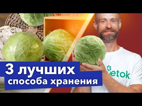 КАПУСТА СОХРАНИТСЯ СОЧНОЙ И ХРУСТЯЩЕЙ ДО ВЕСНЫ! 3 лучших способа хранения в погребе и на балконе