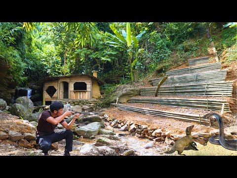 Craft a crossbow & Dramatic hunting trip. Use stones and bamboo to build a garden