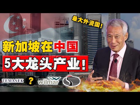 2025中国最大外资国：新加坡！原来这些中国很火的企业，背后都是新加坡身影！90%人都误解