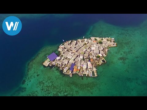 The Lovers of Santa Cruz del Islote (360° - GEO Reportage)