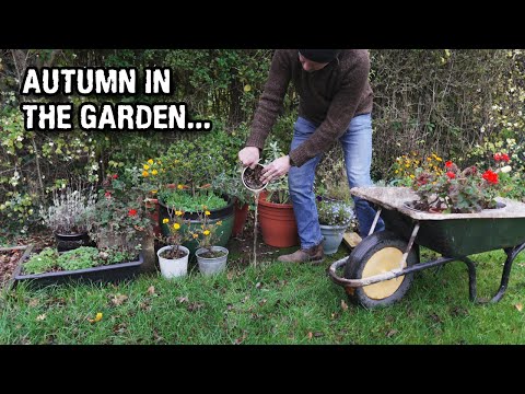 Just me pottering in the garden...