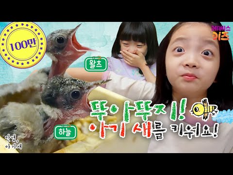 뚜아뚜지의 아기새 돌보기 프로젝트!ㅣ아기새 돌봄단ㅣ안녕 아기 새 스페셜ㅣTV유치원ㅣKBS 20230605 방송