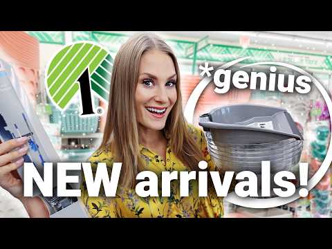 ✨BRAND NEW✨ Dollar Tree Organization & EASY Decor Ideas that are ACTUALLY worth it!