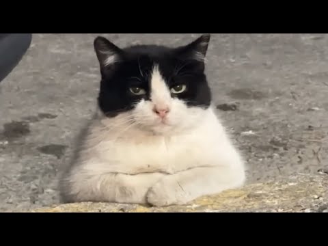 BEST OF THE INTERNET - PART 13