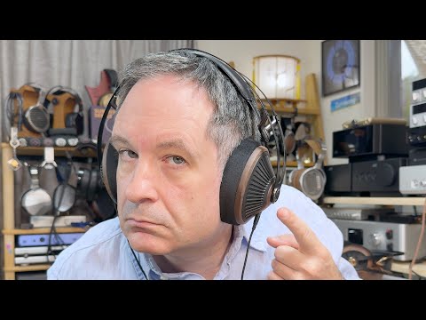 You only need the headphones, nothing else. Meze 105 Silva.