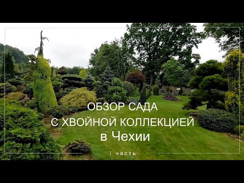 Красивый сад в Чехии. Miniarboretum u Holubů. Большая хвойная коллекция, и не только....  1 часть.