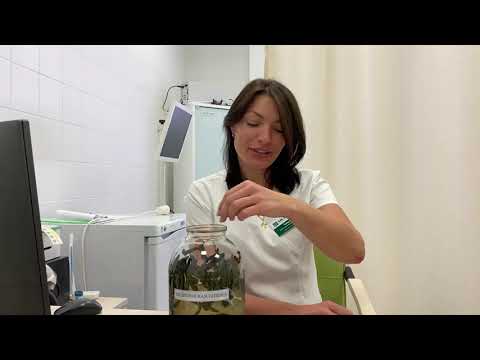 Что такое гирудотерапия и какие заболевания лечат этим методом?