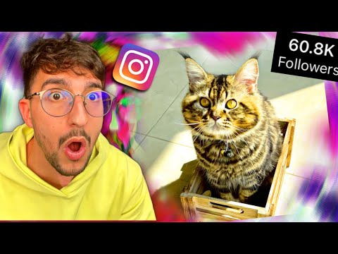 خليت قطتي مشهورة بيوم واحد !!