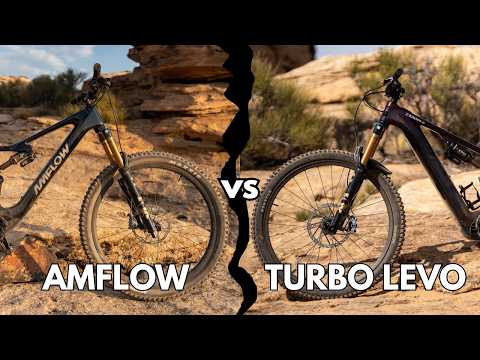 Who Wins!? Amflow PL Carbon Pro vs Specialized S-Works Turbo Levo 4