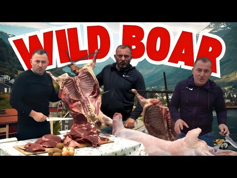WILD BOAR! 🐗 The best dishes from BIG WILD ANIMALS by GEORGY KAVKAZ