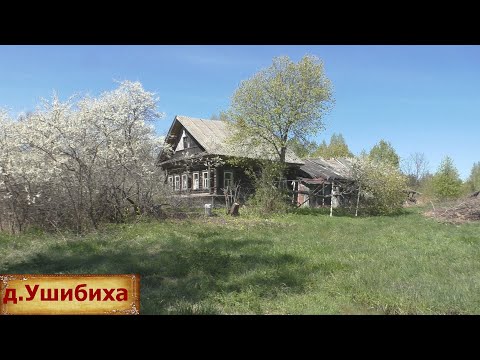 An abandoned village with sturdy houses. A sad village in a picturesque location.