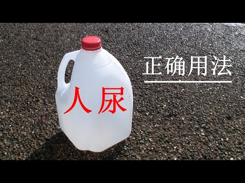 种菜用人尿，怎么用？彻底颠覆你对人尿和有机蔬菜的认知！