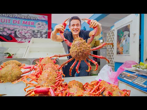 Morocco Street Food!! 🇲🇦 SPIDER CRAB + Best Moroccan Food in Casablanca!